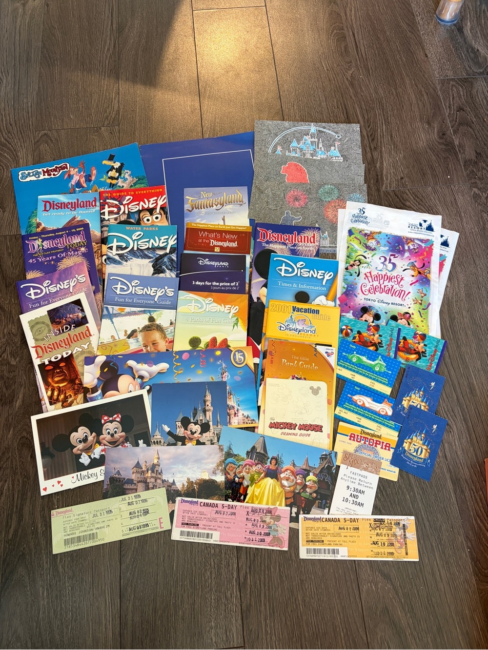 Disney Theme Park Guides & Collectibles lot